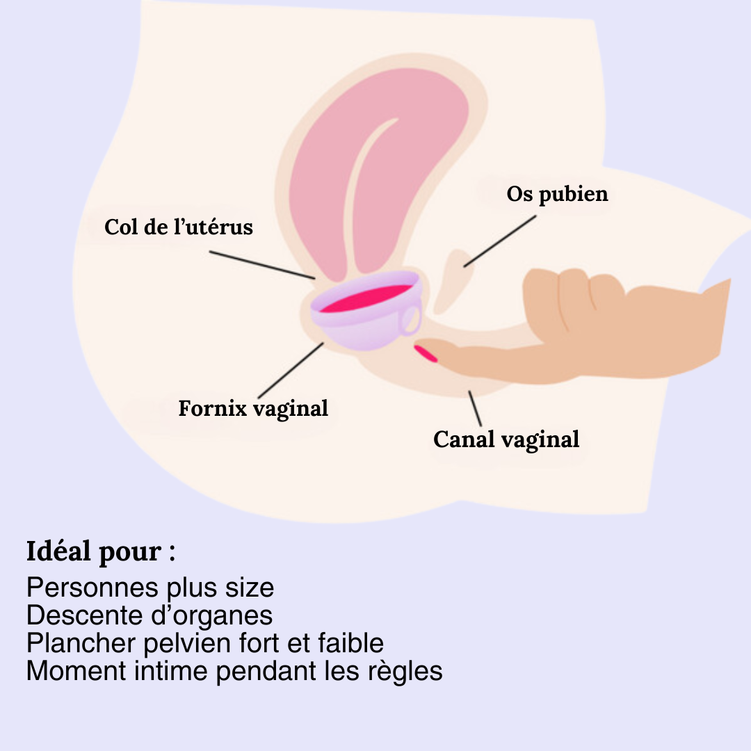 Pack Découverte Disque Menstruel -  Lunarea